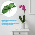 thumbnail image 6 of Uxcell 5.4 inch Faux Orchid Leaves Real Touch 5 Petals Artificial Phalaenopsis Leaf Green Plant Stem 2 Pack Green, 6 of 6