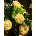 thumbnail image 2 of MAMOWEAR Artificial Peony Flowers Vintage Style Faux Silk Flowers for Wedding Bouquets Centerpieces Arrangements Party Home Decorations, 2 of 8