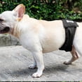 thumbnail image 5 of Pantalones reutilizables para pañales para perros y mascotas, pañales simples de higiene menstrual para mascotas Xs-xxl, 5 of 5