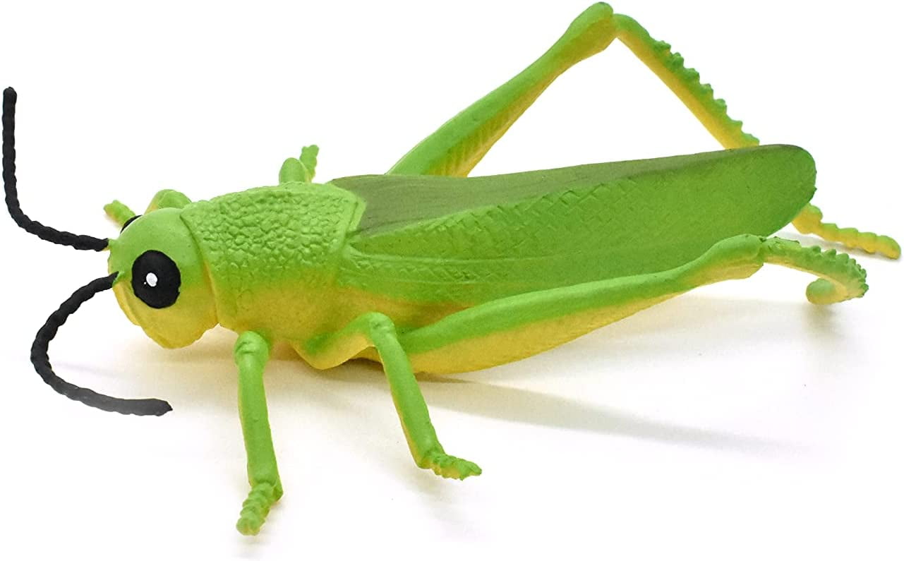 Rubber Toy Insect, Realistic Figure, Model, Replica, Kids