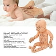 thumbnail image 3 of Babies Acupuncture Massage Model, Easy Use Professional Silicone Infant Massage Acupoint  for Nannies for Home, 3 of 7