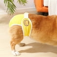 Aruwei Pet Menstrual Pants Female Dog Diapers Sanitary Panties Breathable Dog Period Pads