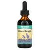Herbs for Kids Echinacea/Astragalus Deep Immune Support Liquid, 2 Fl Oz
