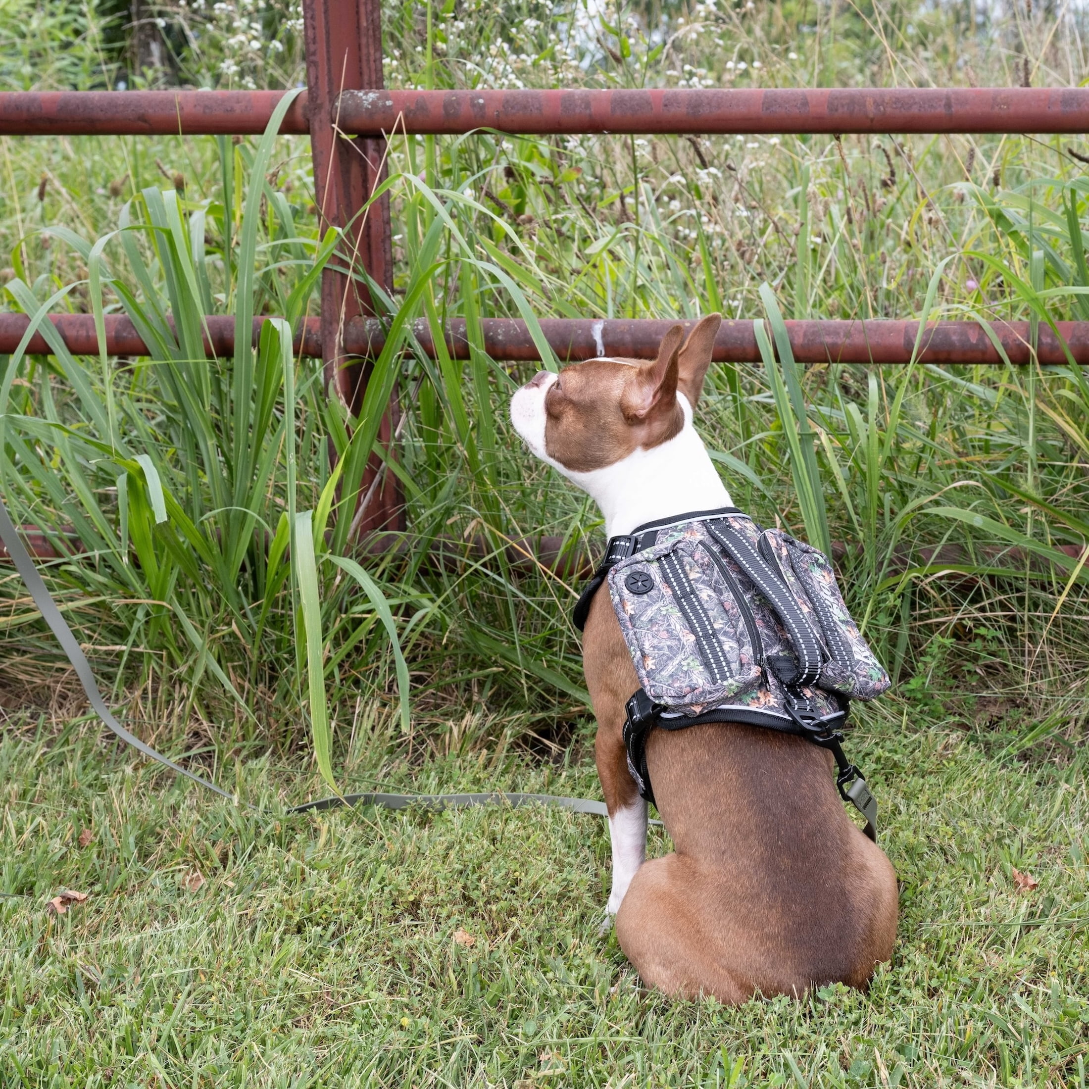 Remington Saddle Bag Dog Harness, Camo, Size S