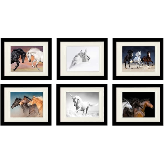 Studio 500~6 PIECE VALUE SET 11 x 14-inch Black Wall Picture Frames comes with a 2 off-white mats for an 8x10" picture or an 8.5x11" document frame