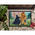 thumbnail image 3 of Carolines Treasures SS8188MAT Paillasson d'Extérieur Intérieur 18 x 27 Po, 3 of 4