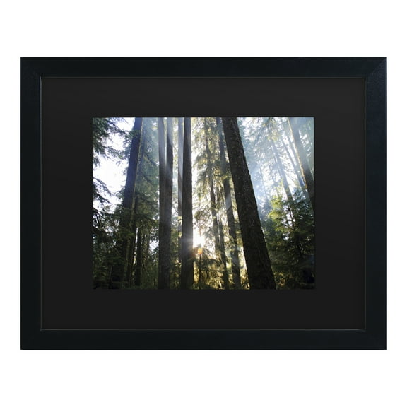 Trademark Fine Art 'Sunrays' Canvas Art by Pierre Leclerc