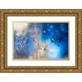 thumbnail image 1 of Westum, Heidi 24x17 Gold Ornate Wood Framed with Double Matting Museum Art Print Titled - Blue rain, 1 of 4