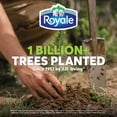 thumbnail image 5 of Royale Velour 3 Ply Facial Tissue, 1 Box, 154 Tissues, 5 of 5
