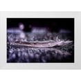 thumbnail image 1 of Fabiano, Alessandro 24x17 White Modern Wood Framed Museum Art Print Titled - Feather and Drop II, 1 of 4