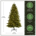 thumbnail image 3 of National Tree 7.5' Pre-Lit Medium Northern Spruce Memory-Shape Artificial Christmas Tree with LED, 3 of 8