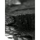 thumbnail image 5 of INSPIRAR CHIC Blusa de Encaje Floral con Corte Escallopado de Manga Corta Semi Transparente L Negra, 5 of 6