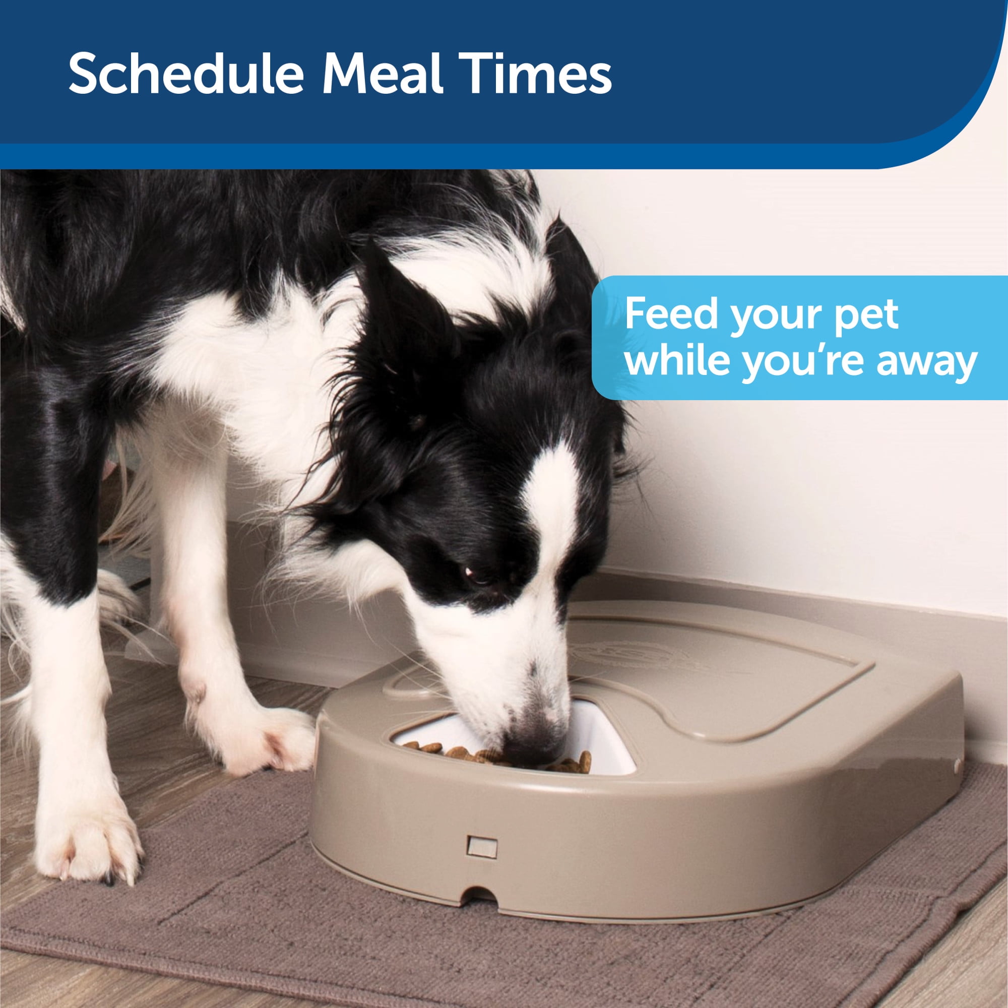 PetSafe 5 Meal Programmable Pet Food Dispenser Automatic Dog and