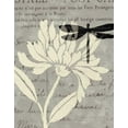 thumbnail image 2 of Brissonnet, Daphne 26x32 Black Ornate Wood Framed with Double Matting Museum Art Print Titled - Natural Prints II, 2 of 4