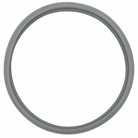 Pentair 614516 Hatteras Light Lens Gasket for Pool Star Pool or Spa Light