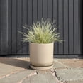 thumbnail image 4 of Veradek Mason Series Kona 15" Plastic-Stone Planter with Saucer Bundle - Sand (2 Pack), 4 of 5