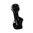 thumbnail image 1 of lionlar Mannequin Head Stand Hat Display Stand Decorative Lightweight Multifunction Holder Hat Rack for Headband Jewelry Home Black, 1 of 9