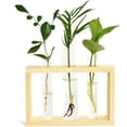 thumbnail image 1 of Terrario de tubo de ensayo de vidrio con soporte de madera para decoración del hogar y la oficina, estación de propagación de plantas hidropónicas, 1 of 1