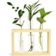 thumbnail image 1 of Tubo de ensayo Jardinera Estación de propagación de plantas Tubo de ensayo de terrario de vidrio con soporte de madera para la propagación de plantas hidropónicas Decoración de la oficina en el hogar Ormromra WMZL-1149, 1 of 9