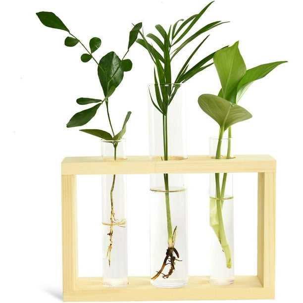 Vumdua Plantador de Tubos de Ensayo Estación de propagación de Plantas Tubo de Ensayo de terrario de Vidrio con Soporte de Madera para propagar Plantas hidropónicas Decoración de Oficina en el hogar