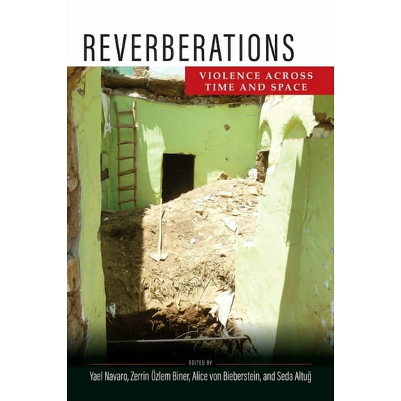 Ethnography of Political Violence: Reverberations: Violence Across Time and Space (Hardcover)
