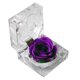 thumbnail image 1 of 1Pcs Preserved Fresh Rose Flower in Glass Dome with Ribbon Decoration Rose Gift for Valentine's Day Anniversary Birthday (Purple), 1 of 4