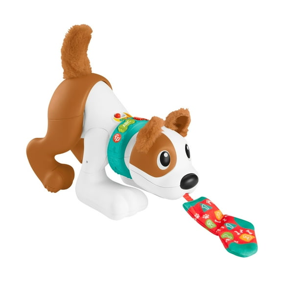 Fisher-Price 123 Crawl With Me Puppy Electronic Learning Toy with Music & Lights for Infants