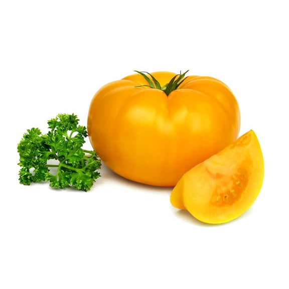 SEEDS = = =Tomato Yellow Jubilee- 20 Vegetable Seeds -Heirloom -Fresh Slicing juice & canning -All Purpose- Serendipity Seeds