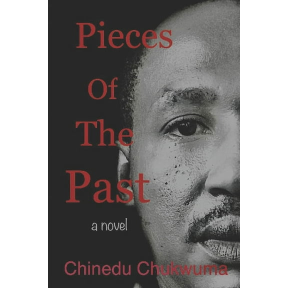 Pieces Of The Past (Paperback)