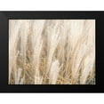 thumbnail image 2 of Frank, Assaf 24x19 Black Modern Framed Museum Art Print Titled - Japanese Silver Grass, 2 of 5