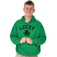 thumbnail image 5 of Saint Patrick's Day Lucky Shamrocks Hoodie Sweatshirt Women Men Brisco Brands S, 5 of 6