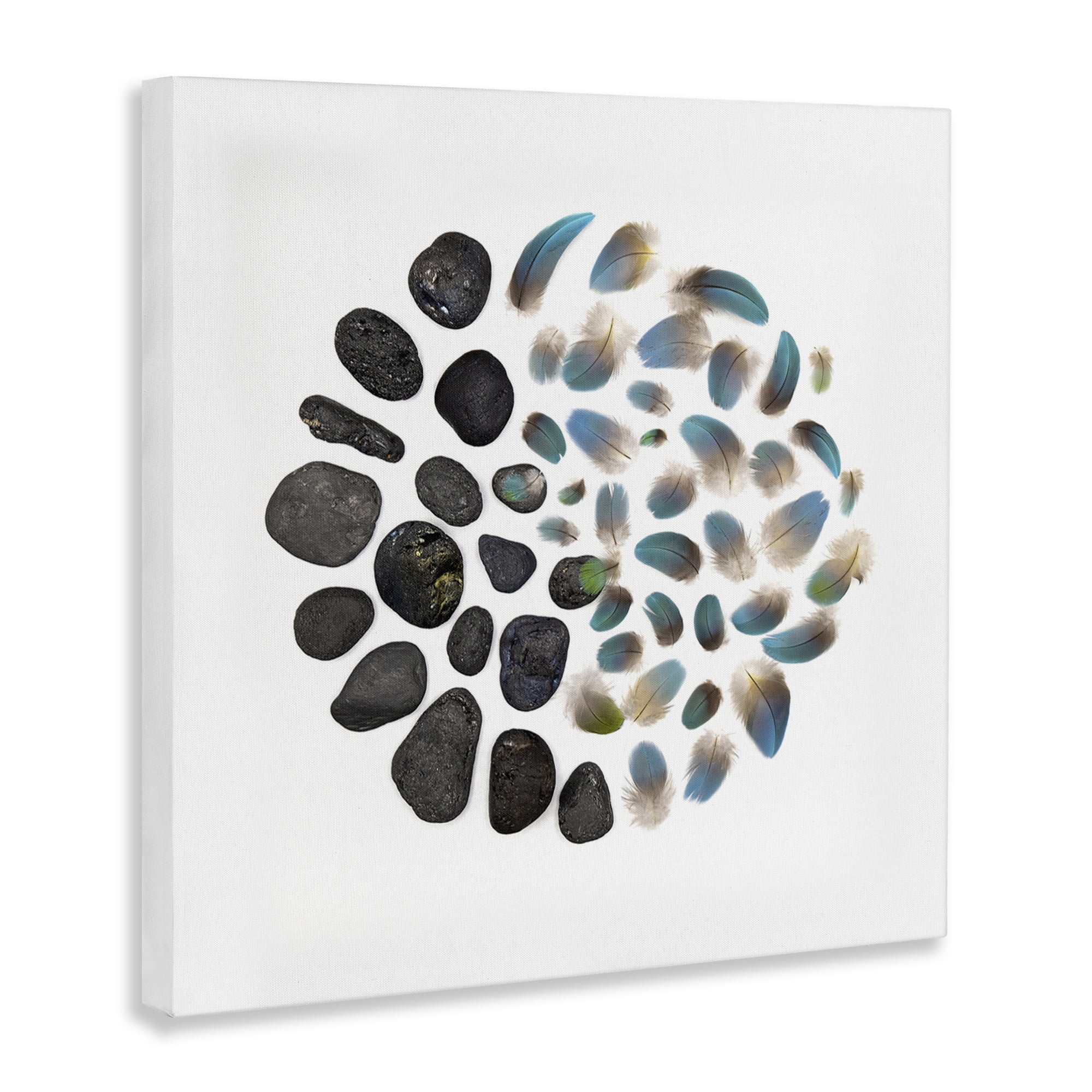 Stupell Industries Feathers & Rocks Collection Canvas Wall Art, design by Beth Adoette
