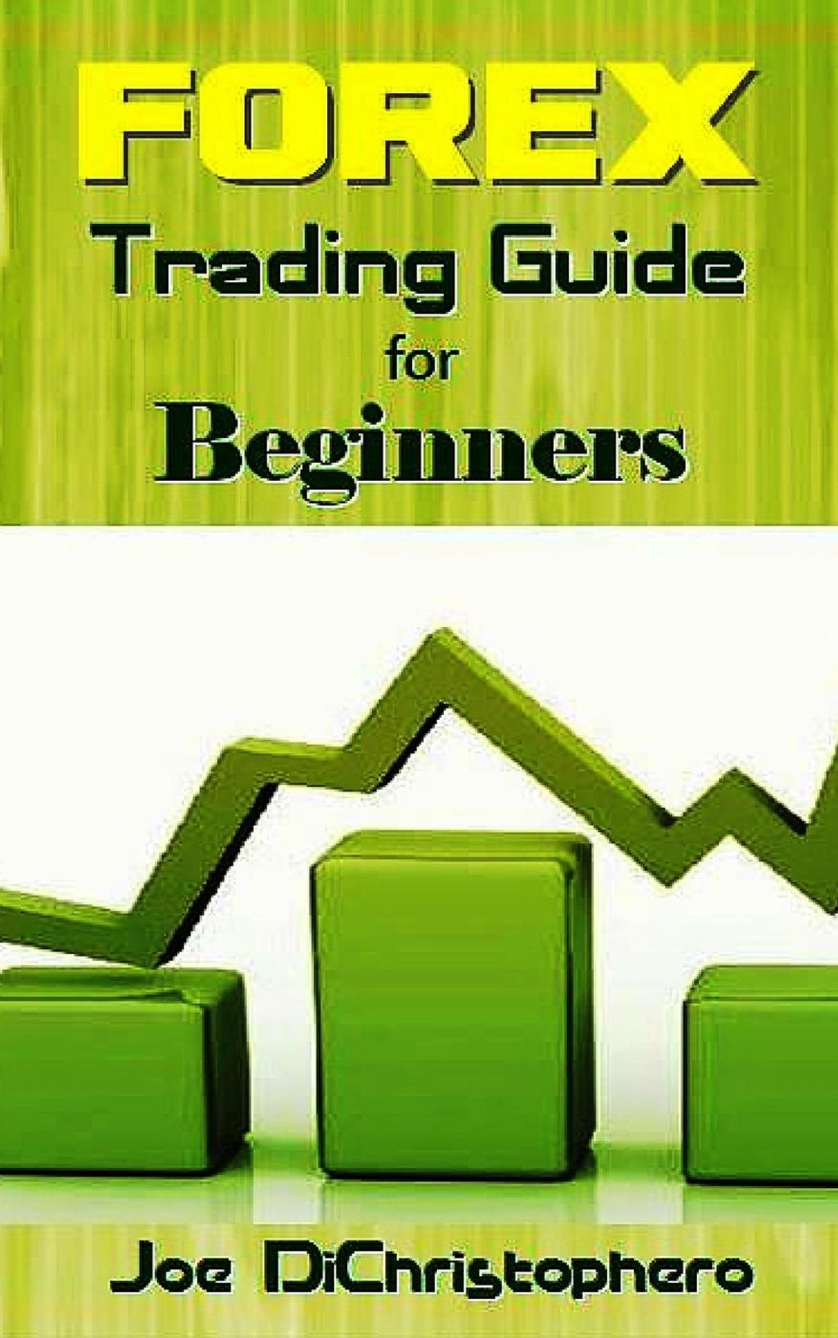 Fore!   x Trading Guide For Beginners Ebook - 