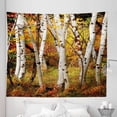 thumbnail image 1 of Fall Tapestry, White Birch Trees Autumn Leaves Growth Wilderness Ecology Calm Serene View Print, Fabric Wall Hanging Decor for Bedroom Living Room Dorm, 5 Sizes, Multicolor, by Ambesonne, 1 of 1