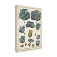 thumbnail image 2 of Trademark Fine Art 'Mineralogie IV' Canvas Art by Vision Studio, 2 of 4