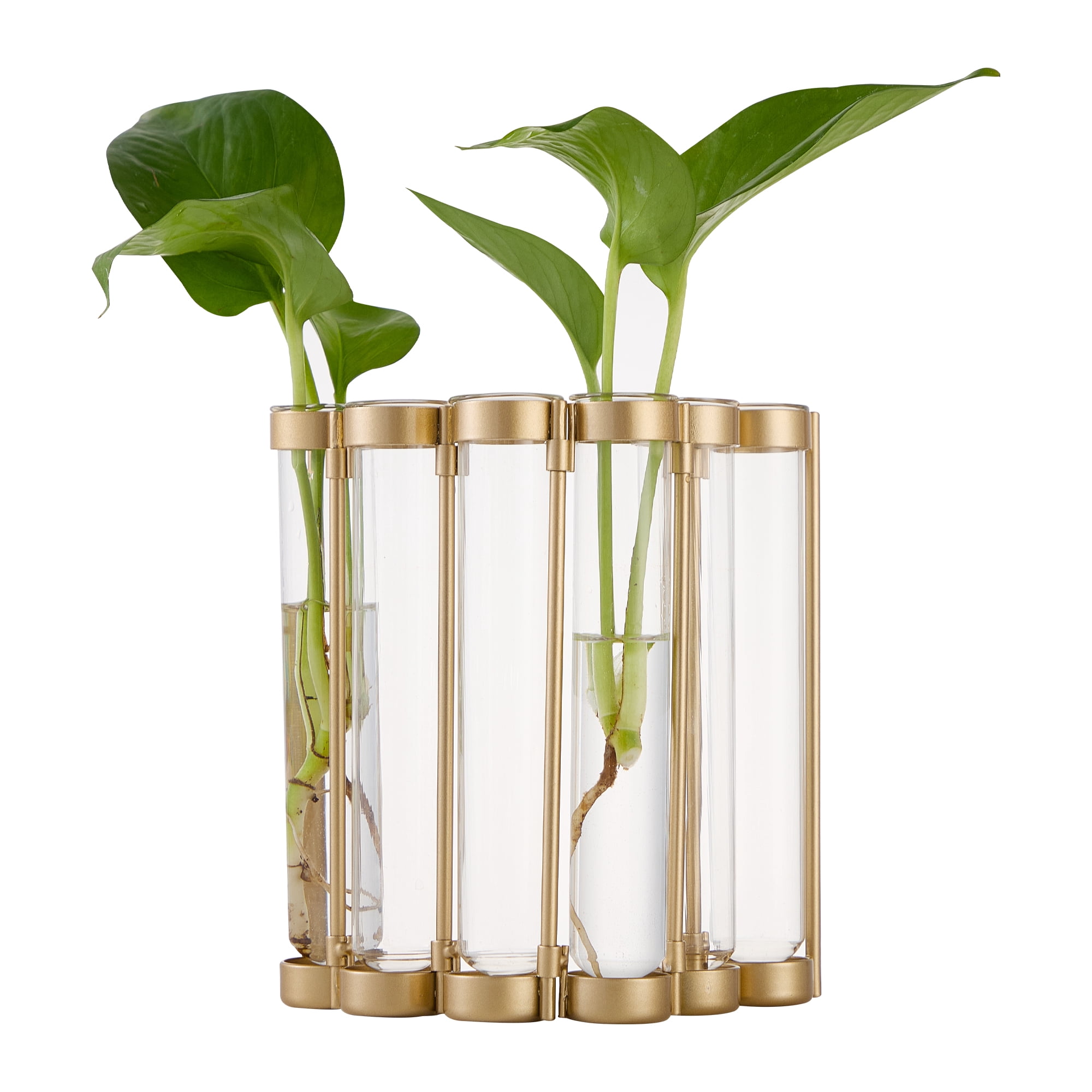 Better Homes & Gardens Gold Metal Propagation Station 6 Tubes