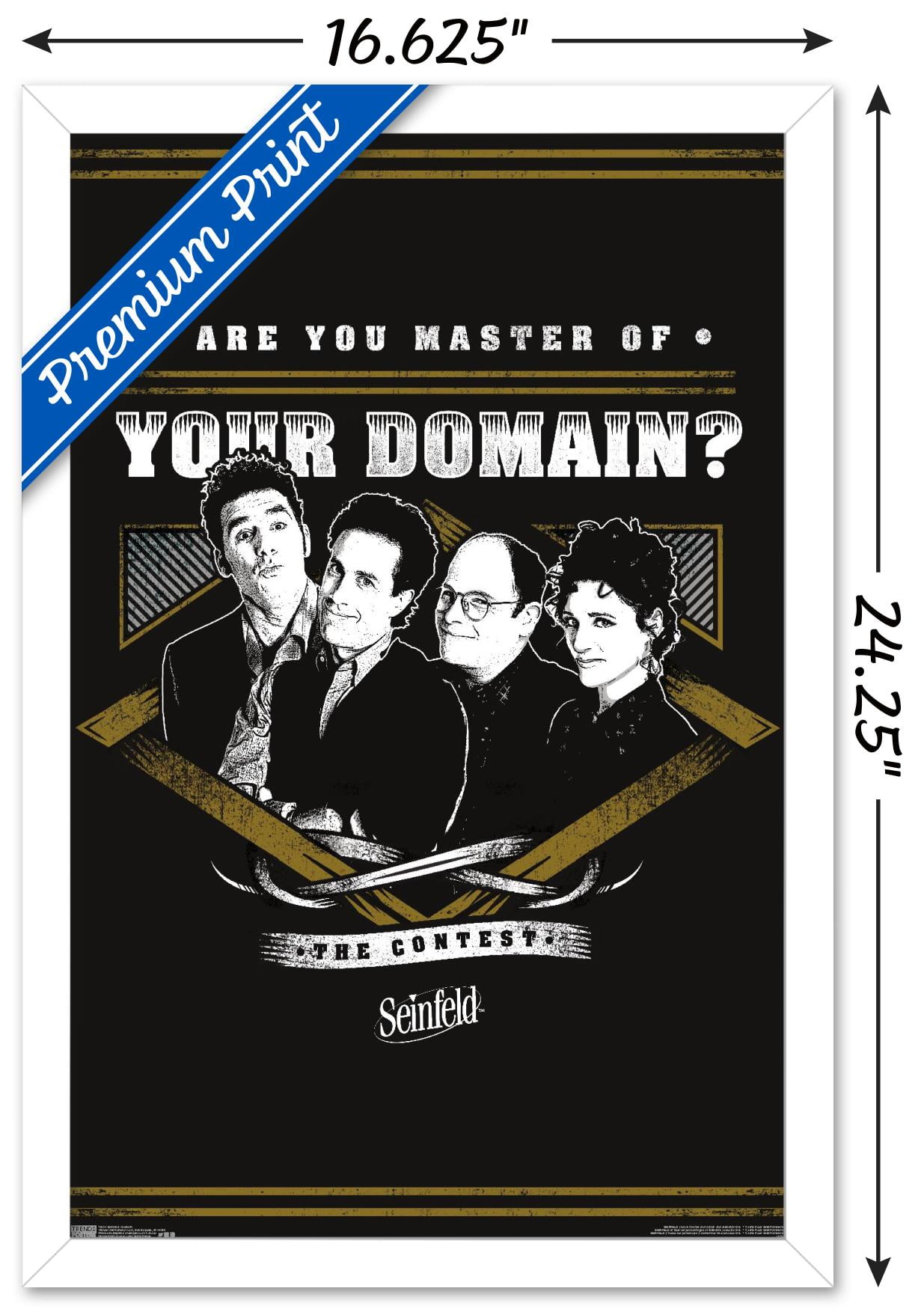 Seinfeld - Domain Wall Poster, 14.725" x 22.375", Framed