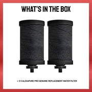 Alexapure Pro Filter Replacement 2-Pack, Black