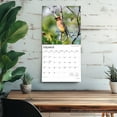 thumbnail image 5 of Songbirds | 2026 12x24" (Hanging) Square Wall Calendar | Plastic-Free, 5 of 9