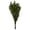 Spring Green, variant on Vickerman 18-24" Spring Green Platys Foliage, Comes in a 5 oz Bundle, Preserved