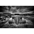 thumbnail image 2 of Schlipf, Carsten 18x13 White Modern Wood Framed Museum Art Print Titled - Too Old to Drive, 2 of 4
