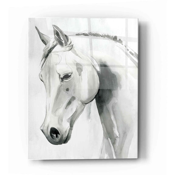 Epic Art 'Horse Whisper I' by Grace Popp Acrylic Glass Wall Art, 12"x16"