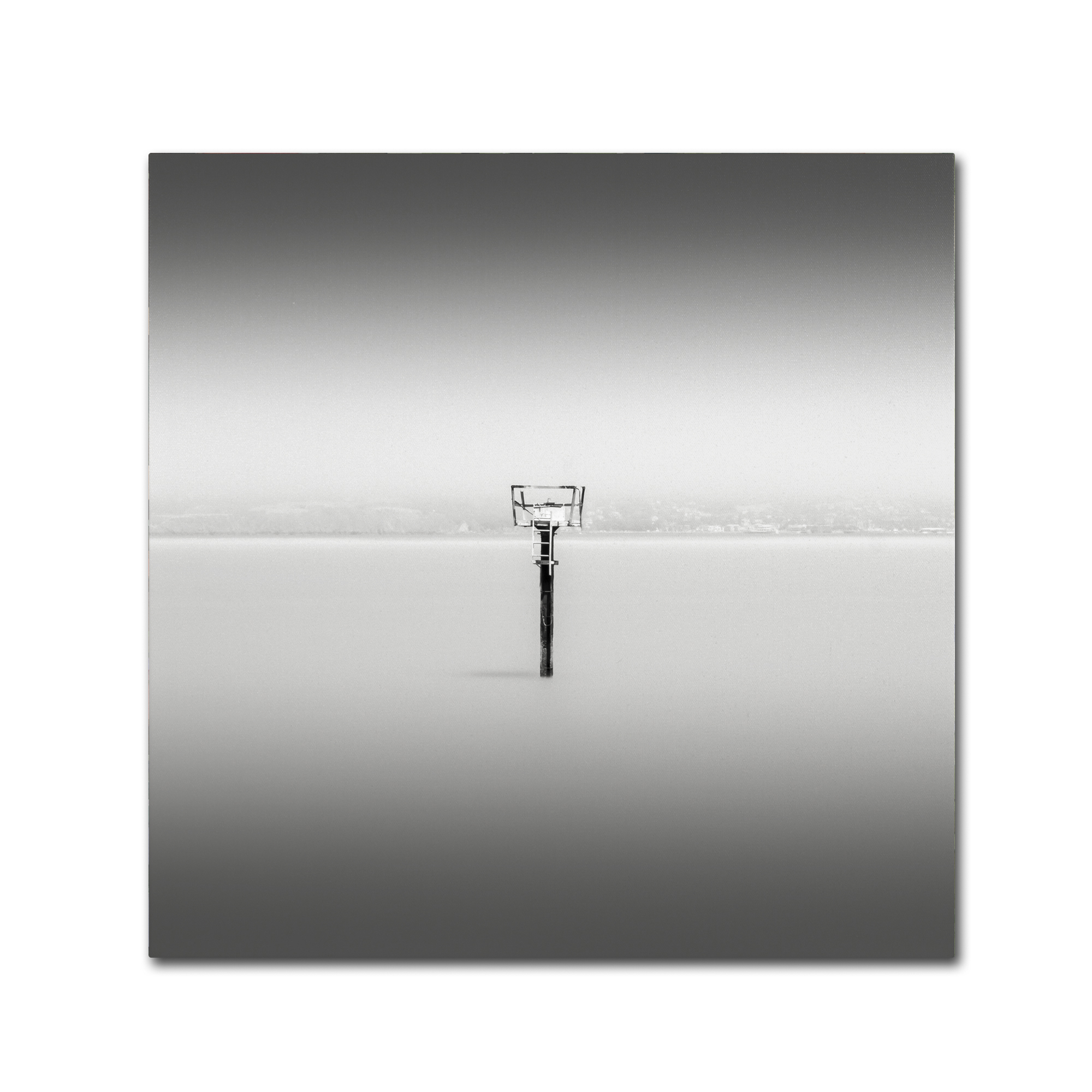 Trademark Fine Art Dave MacVicar 'Isolation' 14 x 14 (ALI0836-C1414GG)
