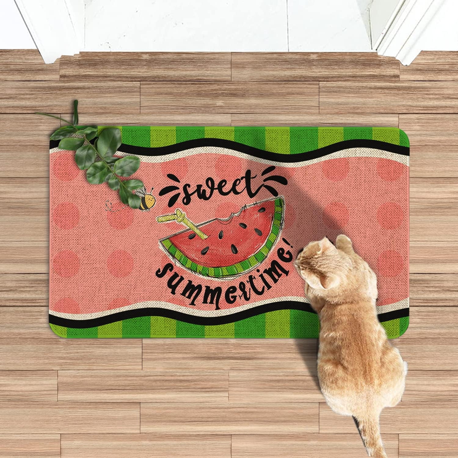 Summer Door Mat 30 X 17 Inch Sweet Summer Time Watermelon Doormat Indoor Outdoor Entrance Floor Mat Non Slip Summer Decor Rubber Welcome Mats