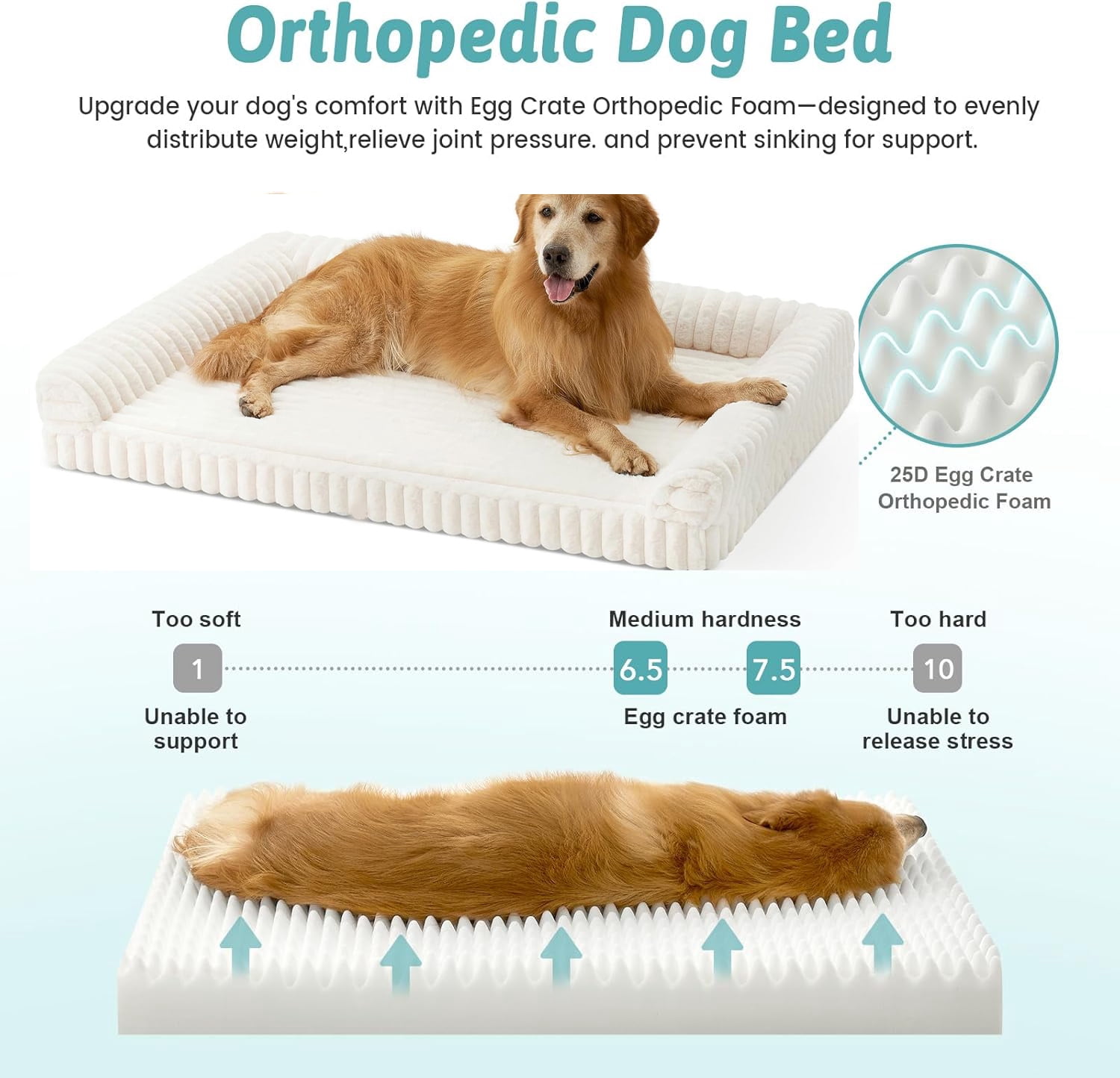 Katieovy Orthopedic Dog Beds for Large Dog,42 inch Removable Washable Dog Beds with Sides,Non-Slip Bottom Memory Foam Large Pet beds,White