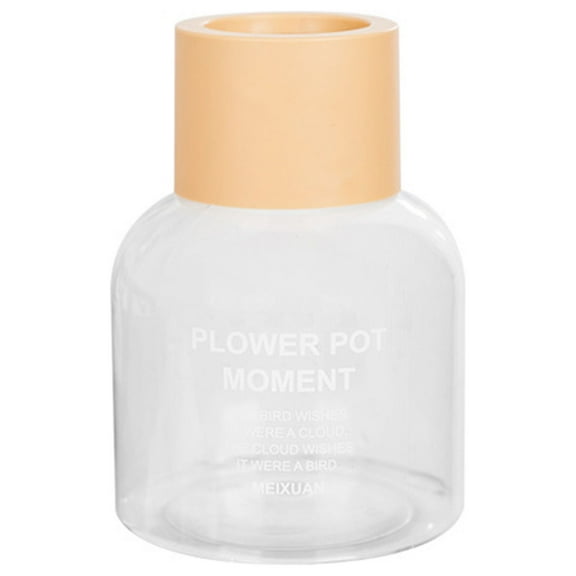 Beautynvta Plants Propagation Stations Vases, Small Transparent Hydroponic Pots for Indoor Living Room Desktop Plants Flowers Hydroponics, Home Office Tabletop Decoration, Clear