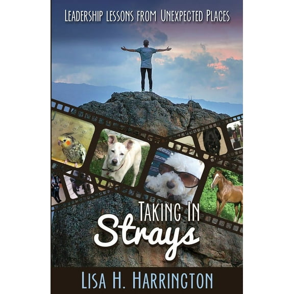 Taking In Strays: Leadership Lessons From Unexpected Places, (Paperback)