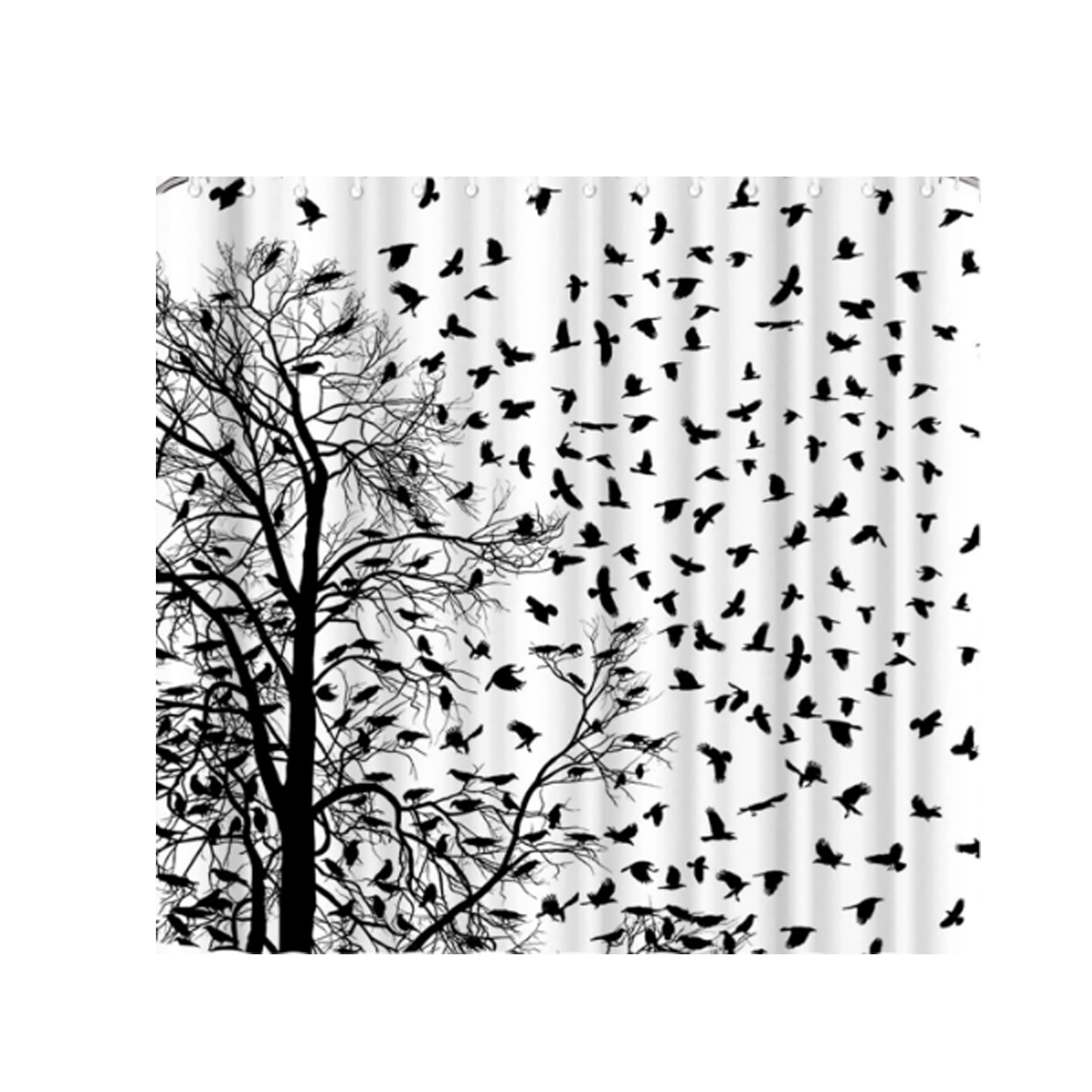 Black and White Shower Curtain