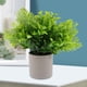thumbnail image 4 of unbranded Planta Decorativa Artificial Verde En Maceta Para Ambientar Hogar Con Aspecto Natural Y Fresco, 4 of 6