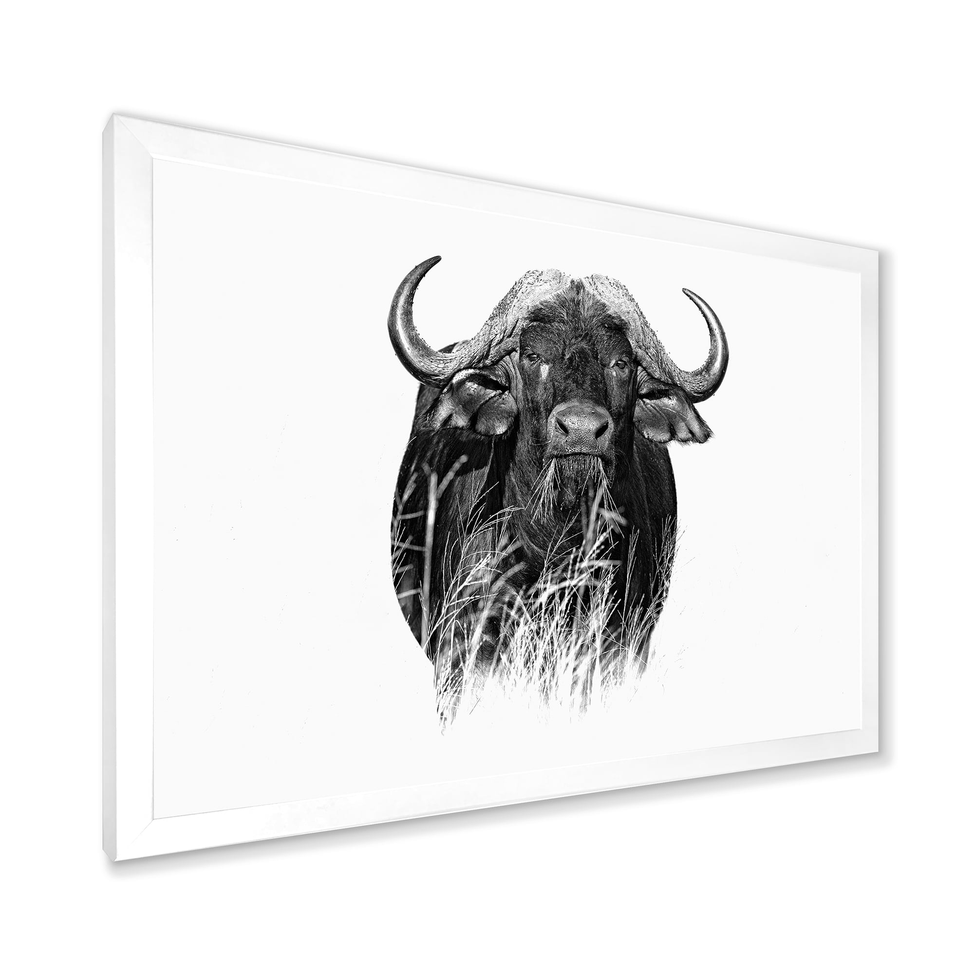 Designart 'Black and White Portrait Of Buffalo IV' Farmhouse Framed Art Print